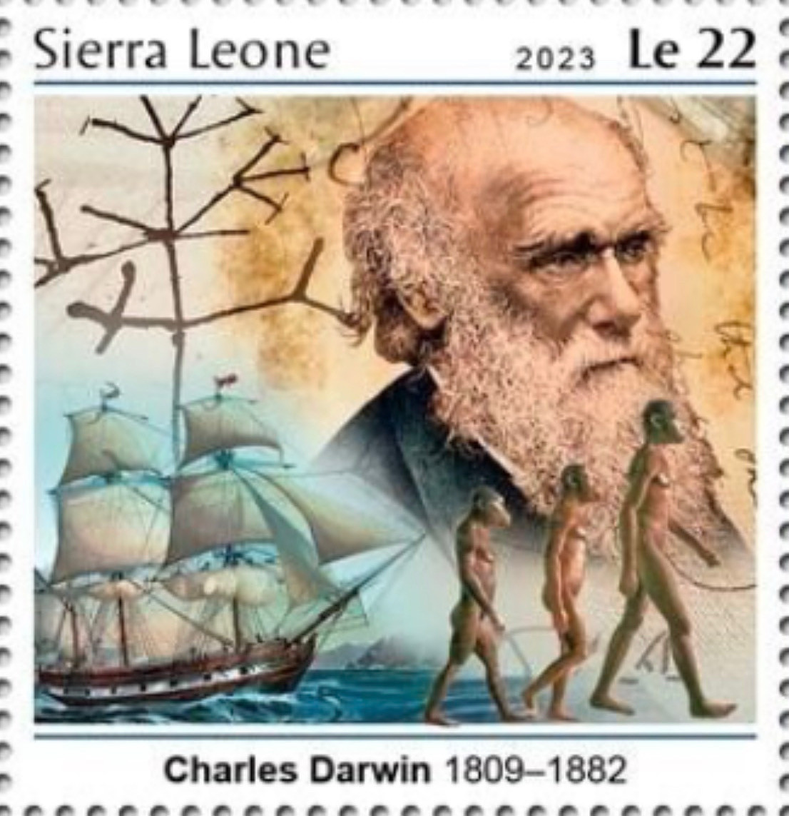 La Huella de la Evolución