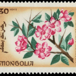 La flor de la Almendra